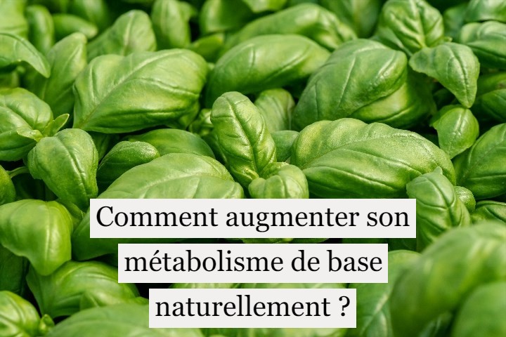 Comment augmenter son métabolisme de base naturellement ?