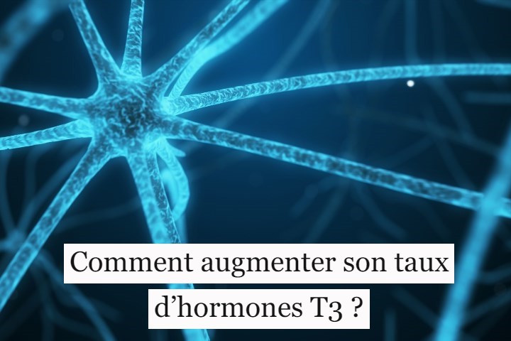 Comment augmenter son taux d’hormones T3 ?